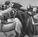 SERIE CABALLOS