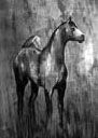 SERIE CABALLOS