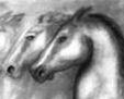 SERIE CABALLOS