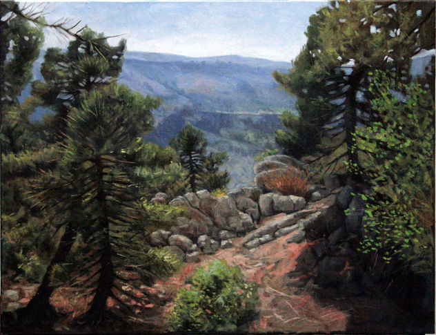 La sierra y los pinsapos II