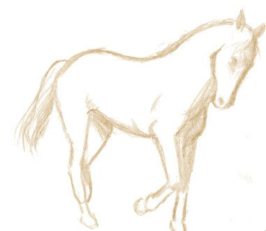 SERIE CABALLOS