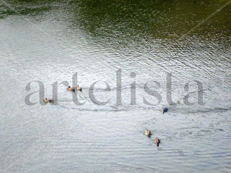 Lago