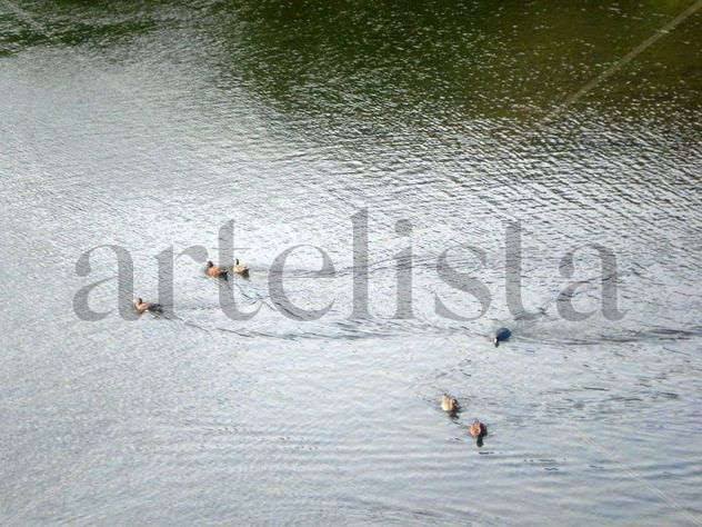 Lago