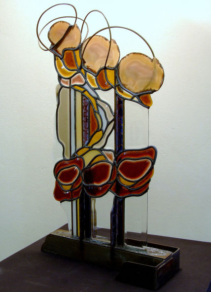 Reflejos Cósmicos