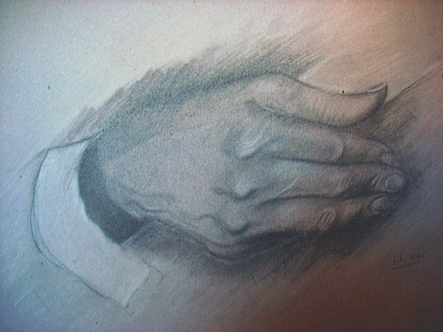Hands of the musician 1