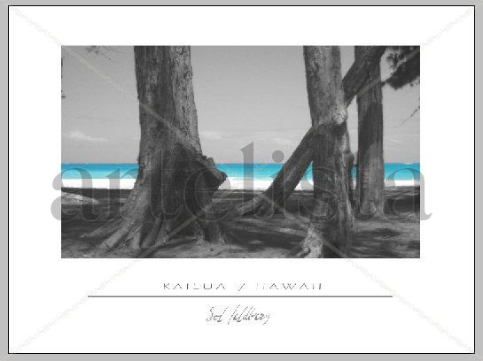 K A I L U A   /   O A H U