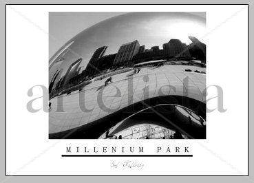 M I L L E N I U M   P A R K   /   C H I C A G O