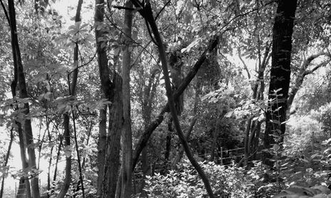 1-01 Blanco y Negro