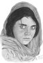 Sharbat Gula -...