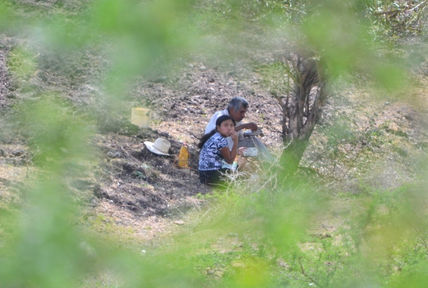 Bajo el árbol