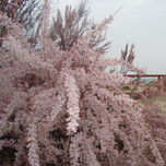 Paisajes rurales thumbnail 1