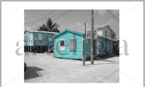 MIAMI - KEY WEST - BELIZE