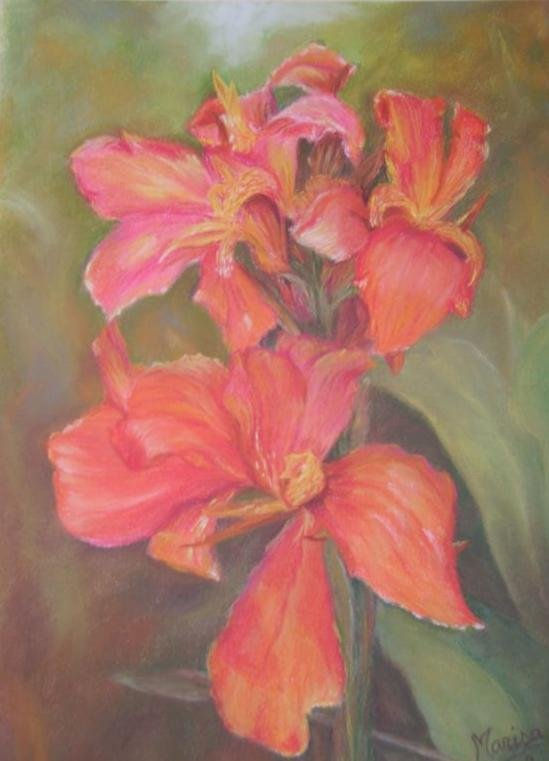 CANNAS