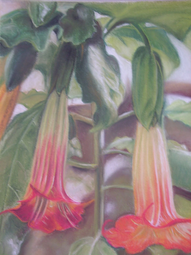 DATURAS