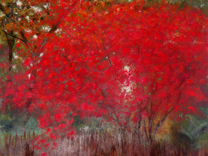 Rojo