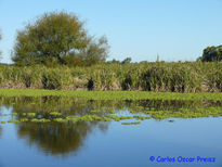 Reflejos 2