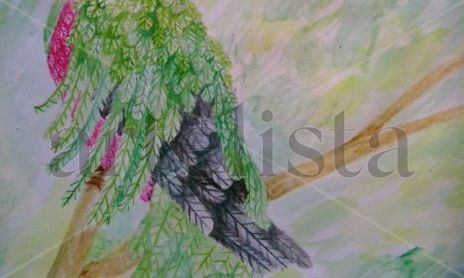 quetzalli