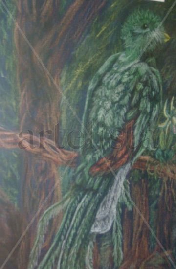 quetzal Pastel Cartulina Animales