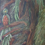 quetzalli thumbnail 1