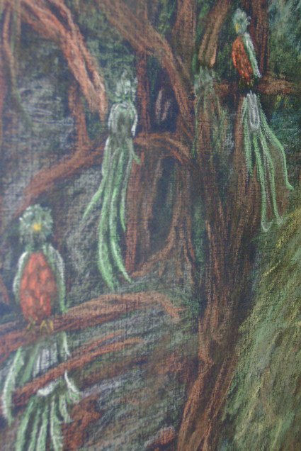 .quetzales