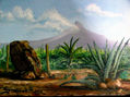 PAISAJE PARAGUANERO