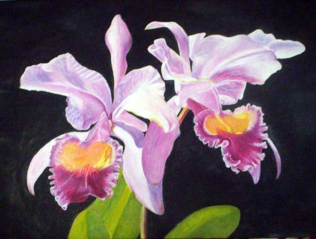 Orquidea la flor de mi país Oil Canvas Floral Painting