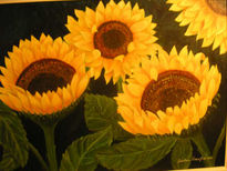 Girasoles