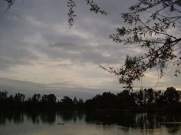 dos patos