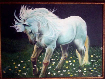 Caballo Nocturno