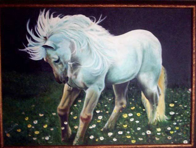 Caballo Nocturno Oil Canvas Animals