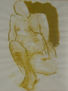 Desnudo sobre papel