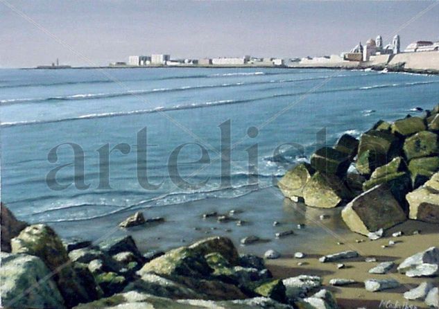 CAMPO DEL SUR DESDE LA PLAYA SANTA MARIA DEL MAR Oil Panel Landscaping