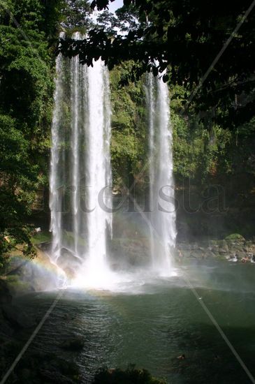 CASCADA GOLONDRINAS Naturaleza Color (Digital)