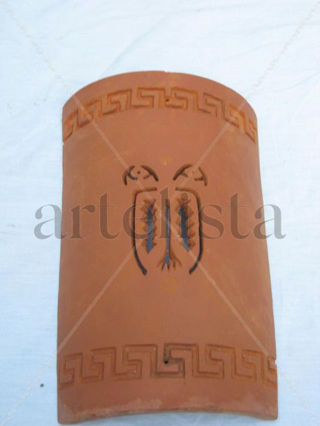 Condor Bicefalo Andino