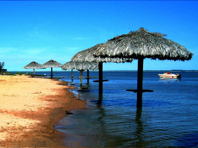 PRAIA DAS ARNOS EM PALMAS AMAZONIA TOCANTINS BRASIL