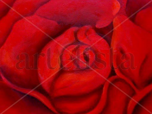 Flor roja Oil Canvas Floral Painting