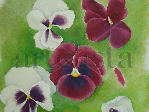 Pensamientos Oil Canvas Floral Painting