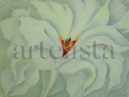 Rojo sobre blanco Oil Canvas Floral Painting