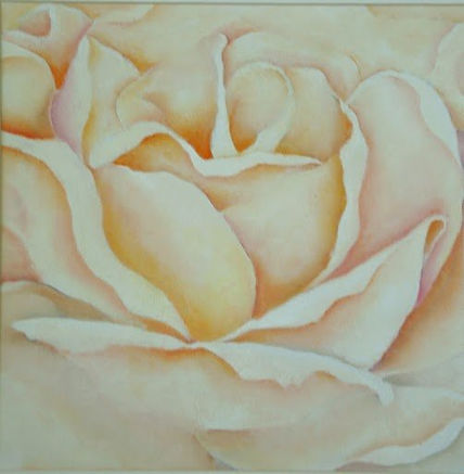 Rosa blanca
