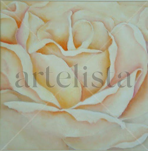 Rosa blanca Oil Canvas Floral Painting