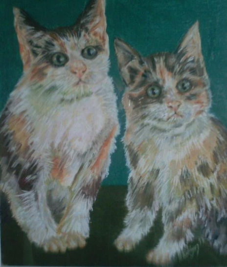 Gatos