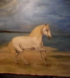 Caballo
