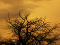 atardecer