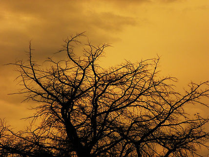 Atardecer