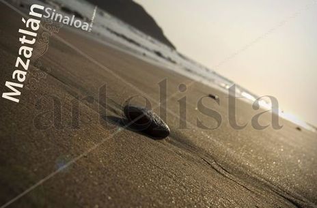 Una piedra en el...