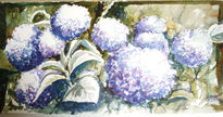 Hortensias 2