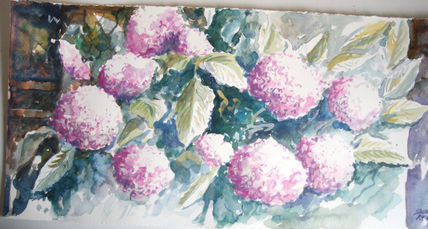 Hortensias 1