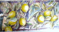 Limones 6