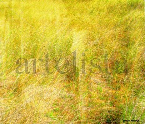 Estar
