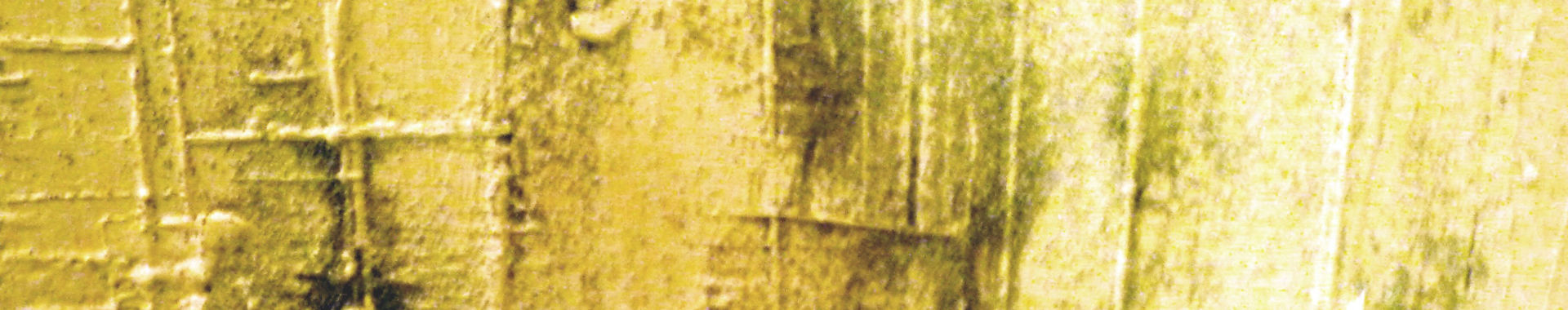 Imagen de portada